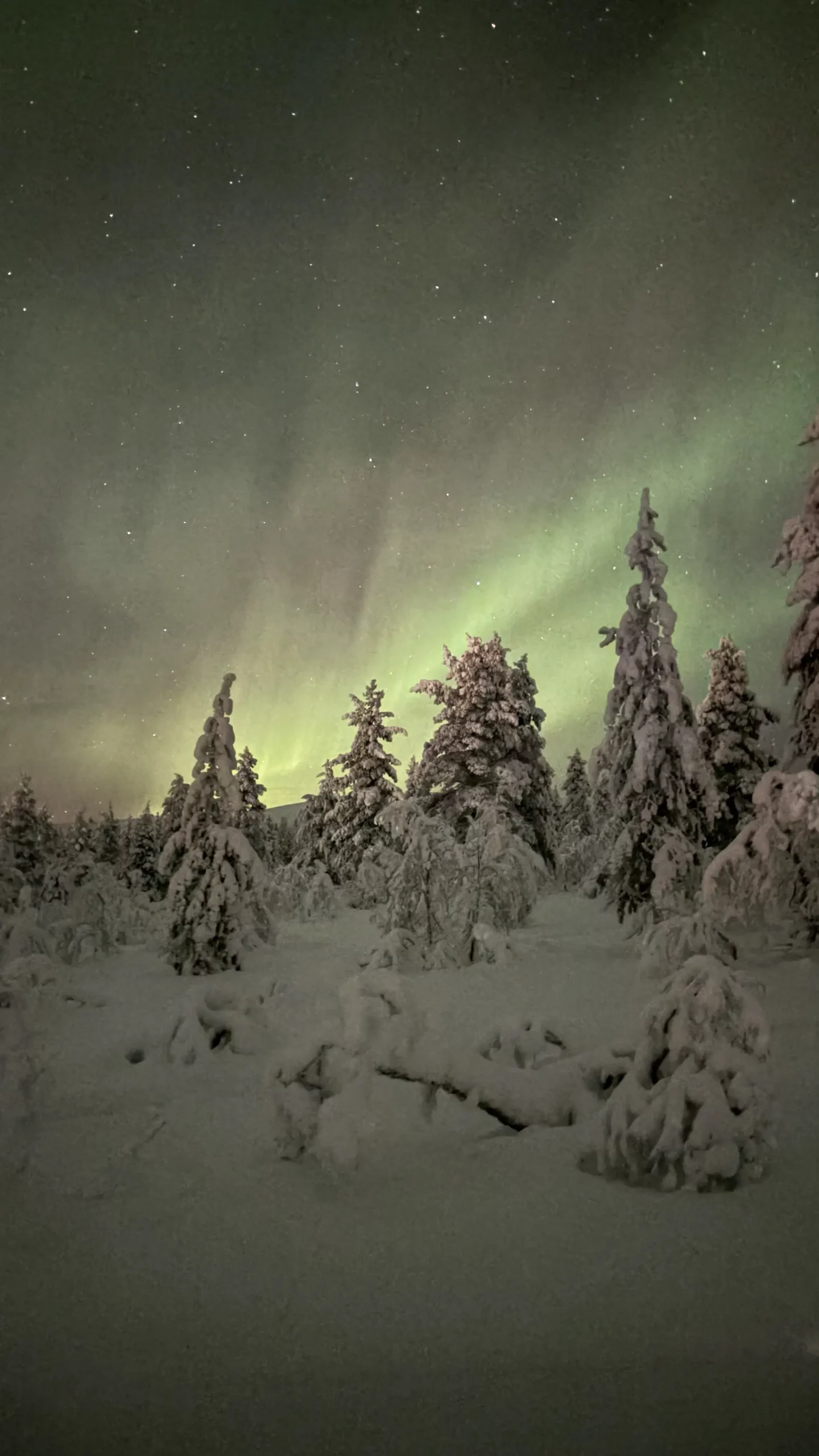 Nordlichter über Finnland