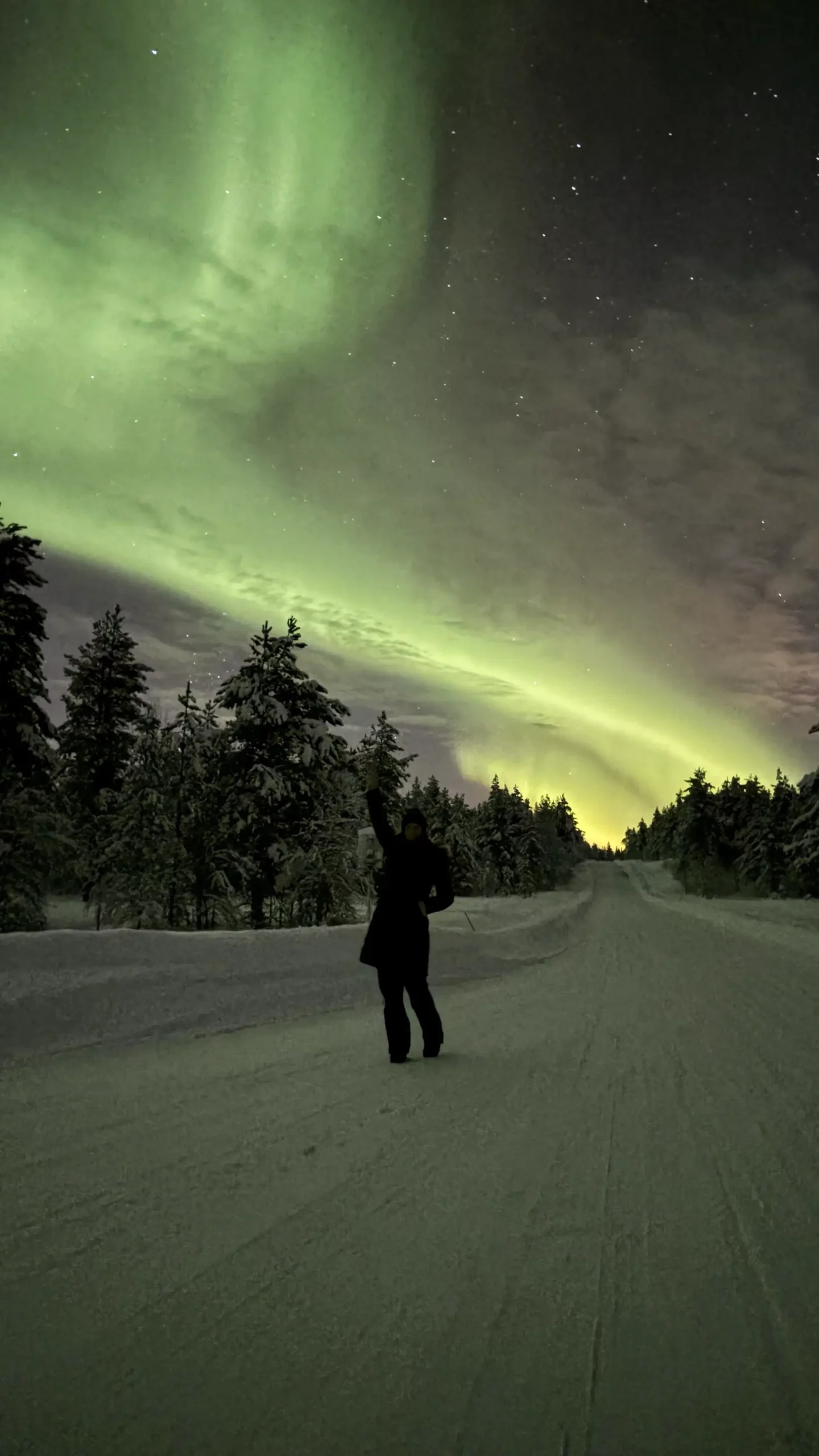 Nordlichter am Nachthimmel